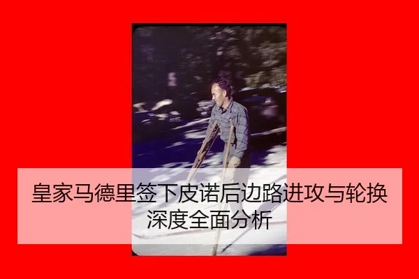 huang-jia-ma-de-li-qian-xia-pi-nuo-hou-bian-lu-jin-gong-yu-lun-huan-shen-du-quan-mian-fen-xi-2-663.jpg